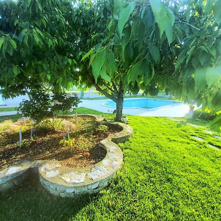 לוזובאק Kaja House Apartments מראה חיצוני תמונה