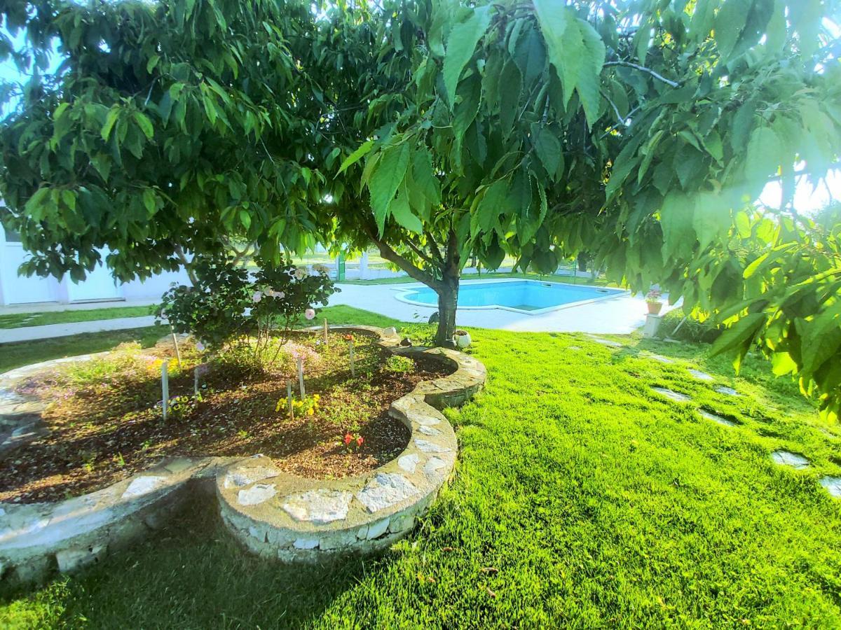 לוזובאק Kaja House Apartments מראה חיצוני תמונה
