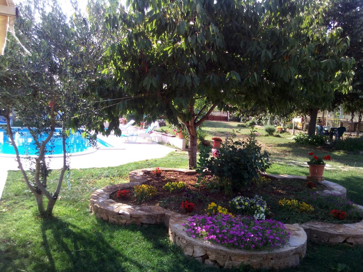 לוזובאק Kaja House Apartments מראה חיצוני תמונה